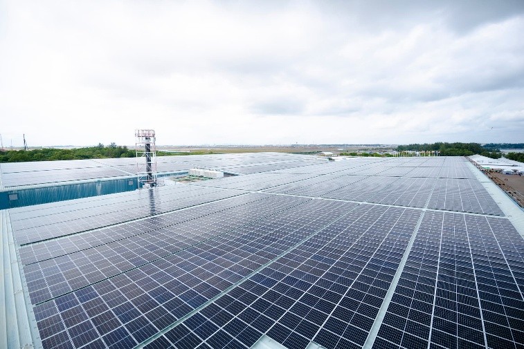 solar-panels.jpg